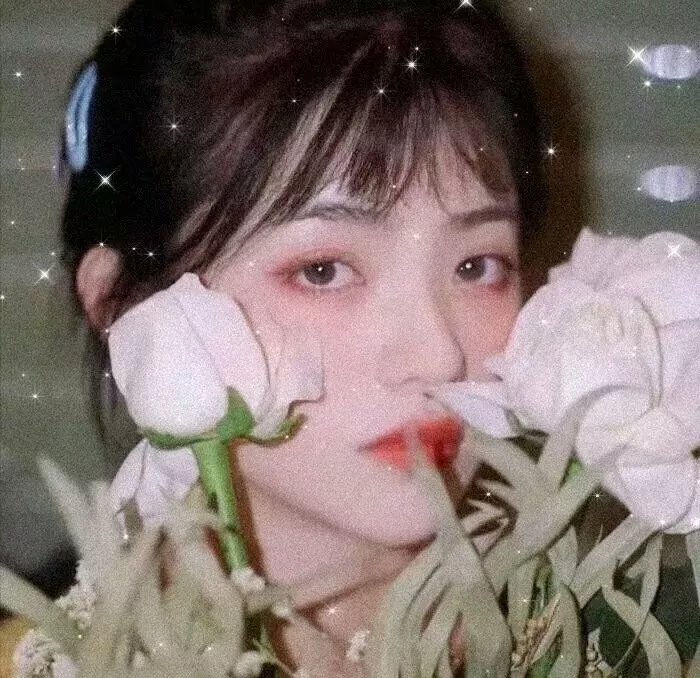 五月的鲜花